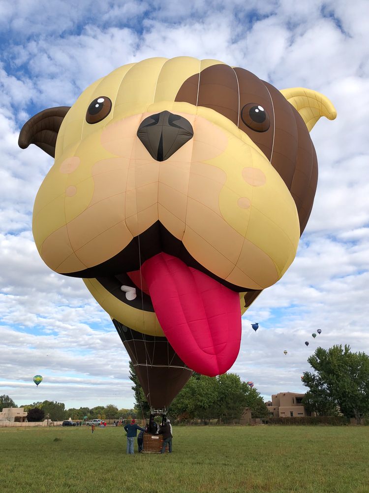 Dog shaped balloon