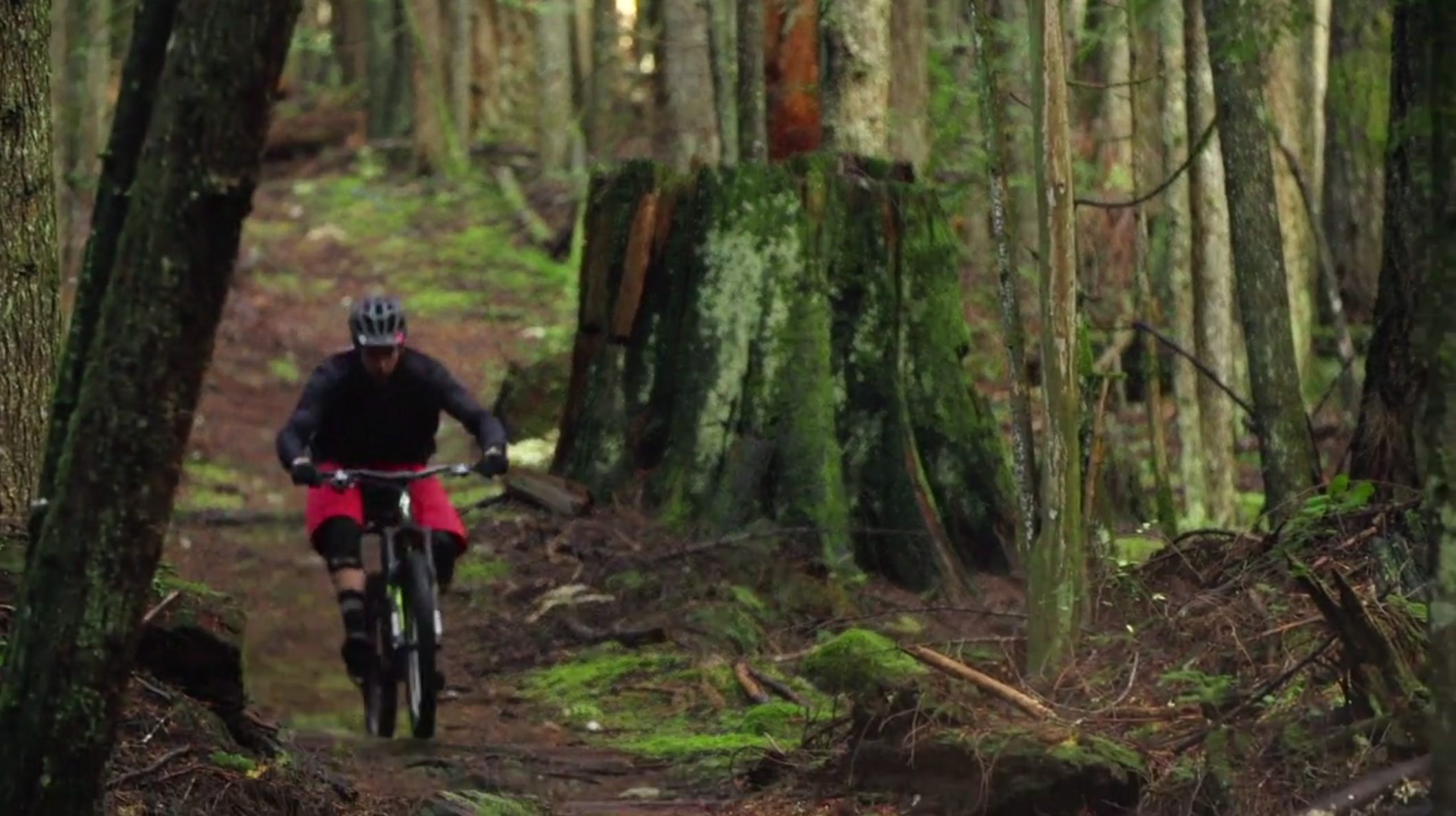 Man biking in woods