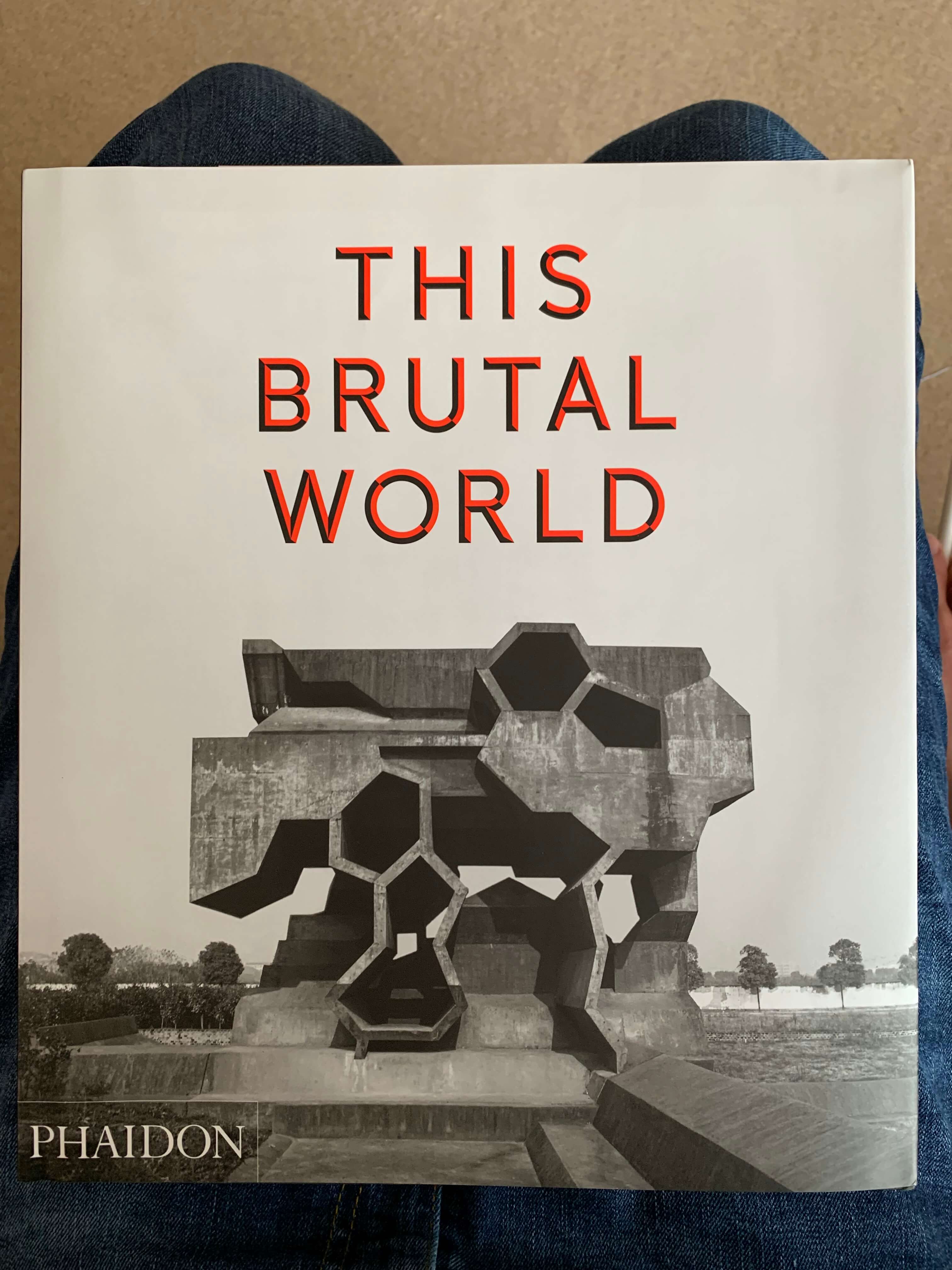 A copy of This Brutal House on my lap