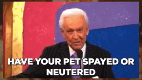 Old man saying 'Have your pet spayed or neutered' in a game show setting