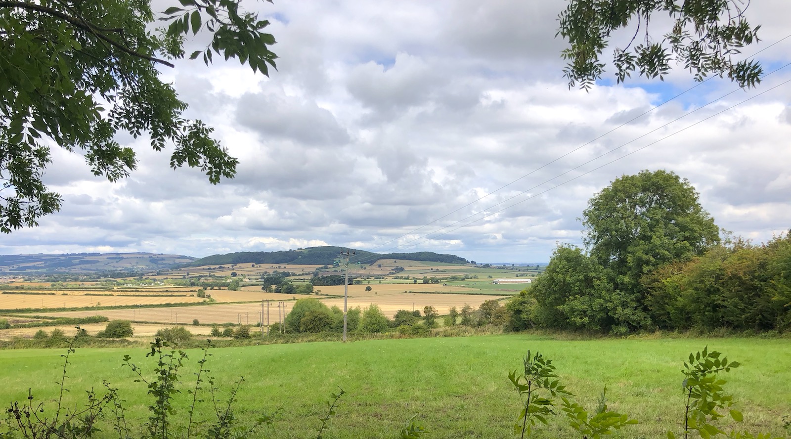 Rolling Cotswolds fields