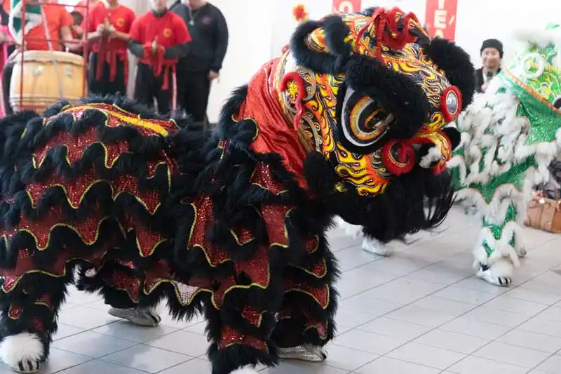 a lunar newyear horse