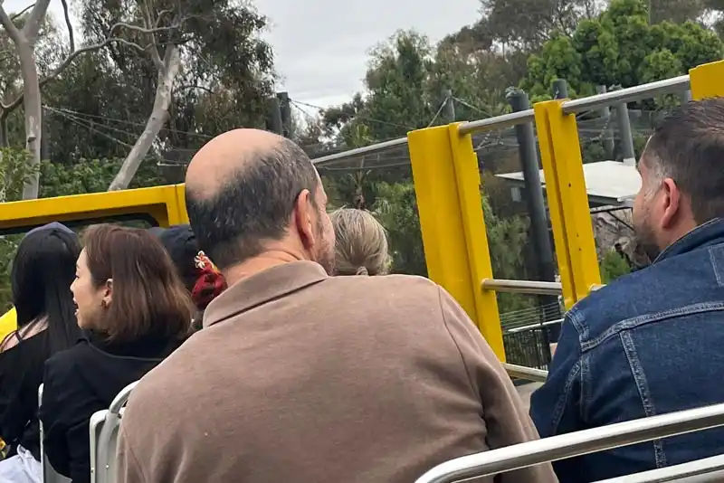 ESL students on Zoo bus tour