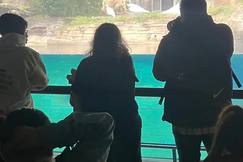 ESL students enjoying the Zoo