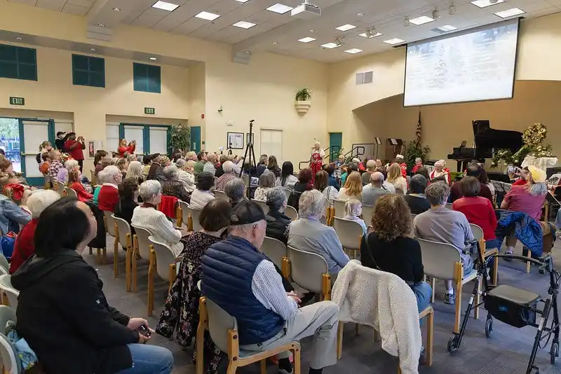 the backside of an audience