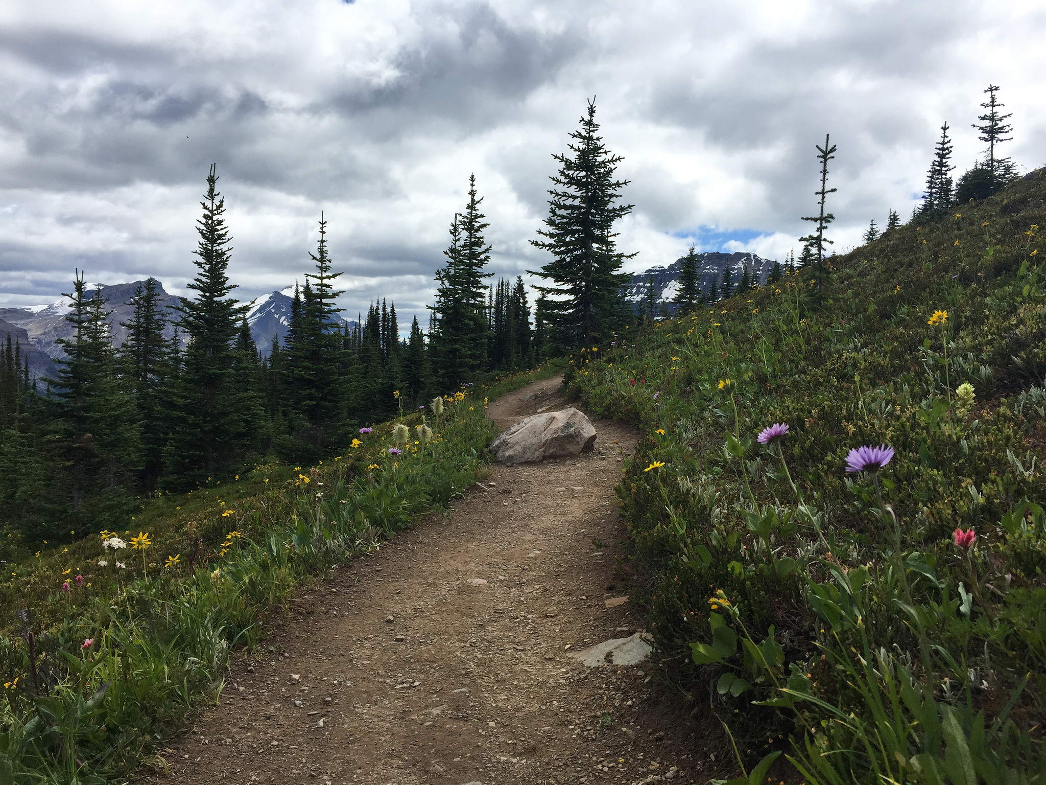 Helen Lake - Canadian Rockies