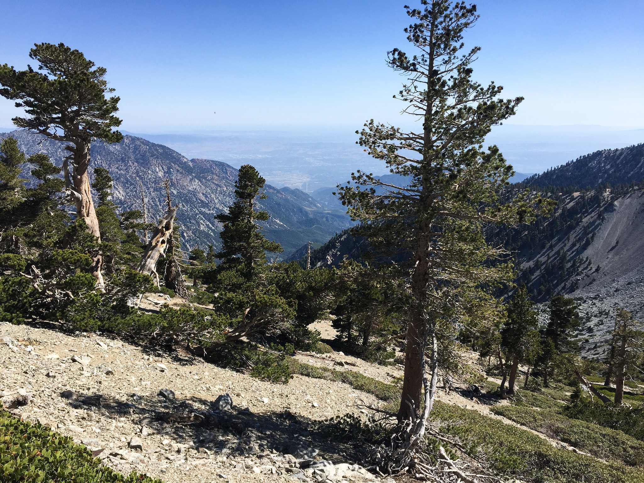 Mount Baldy - Los Angeles, CA