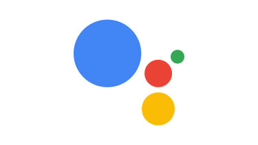 Vote using Google Assistant