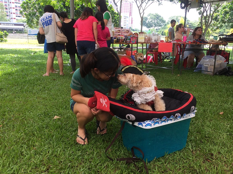 Dog party in Singapore