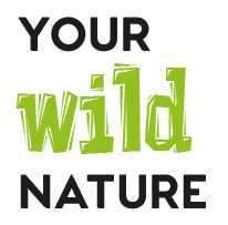 yournature |