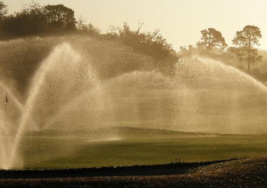 Diamondback Golf Club