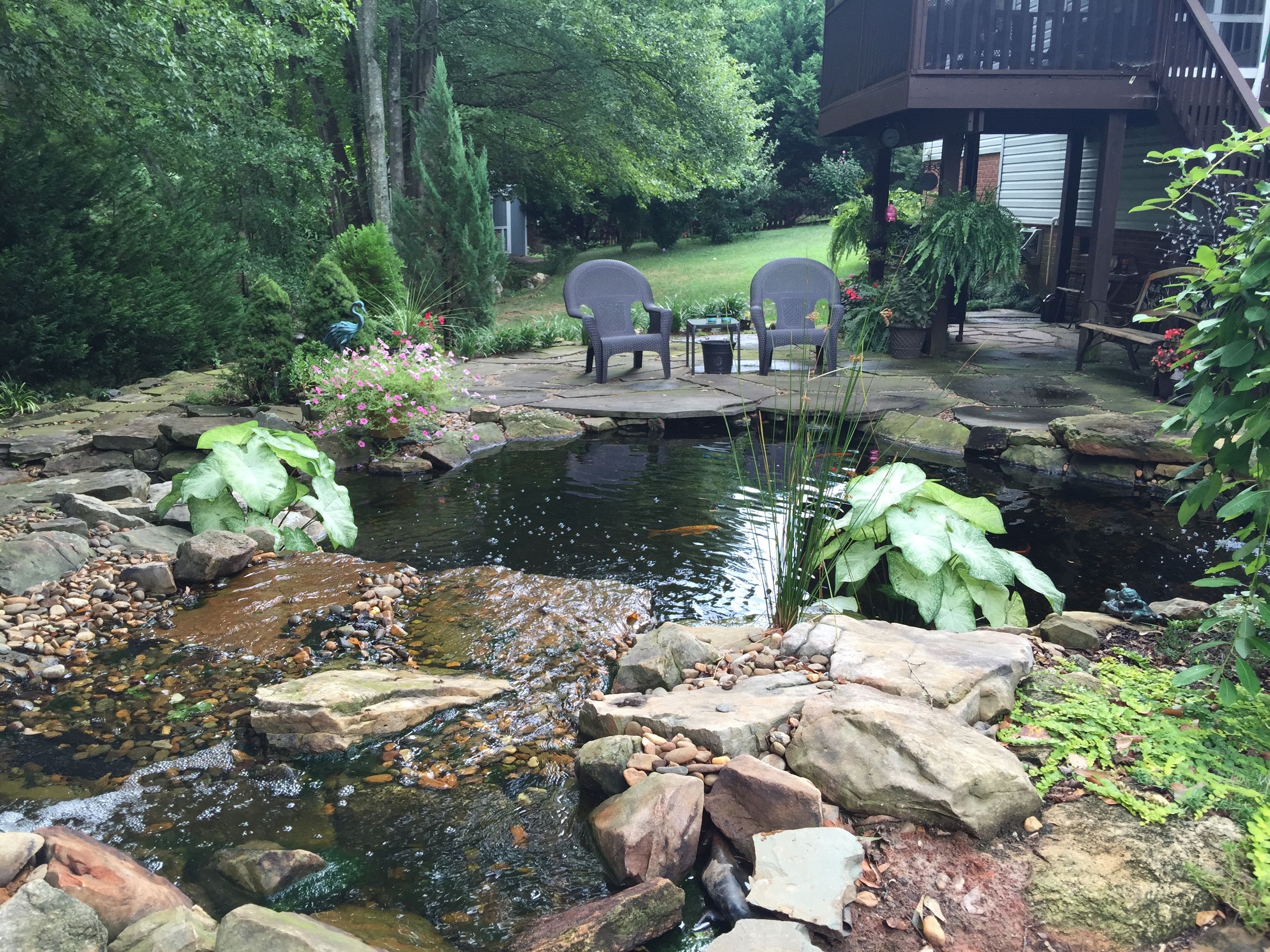 Outdoor Pictures 1