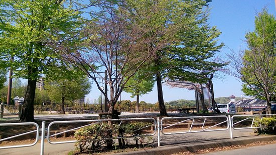 Hachioji Kamiyugi Park - Ballpark