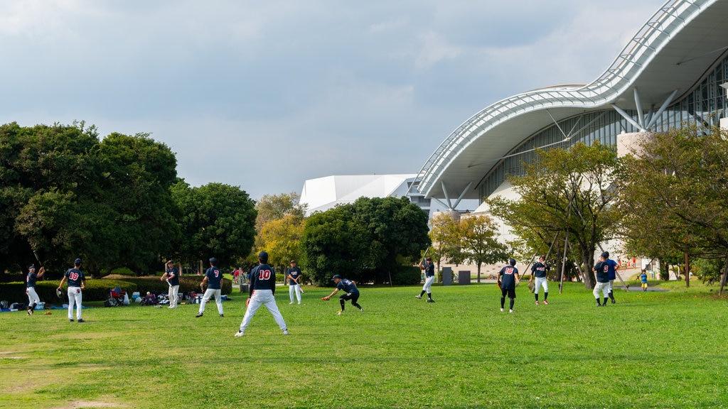 Oga Sports Park Ballpark