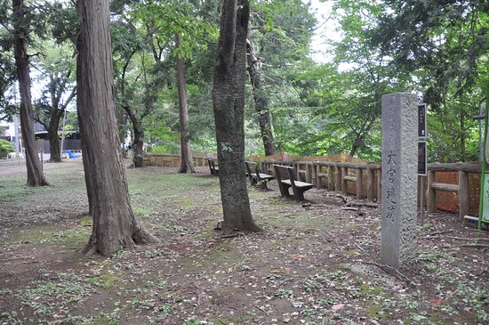 Omiya Ruins