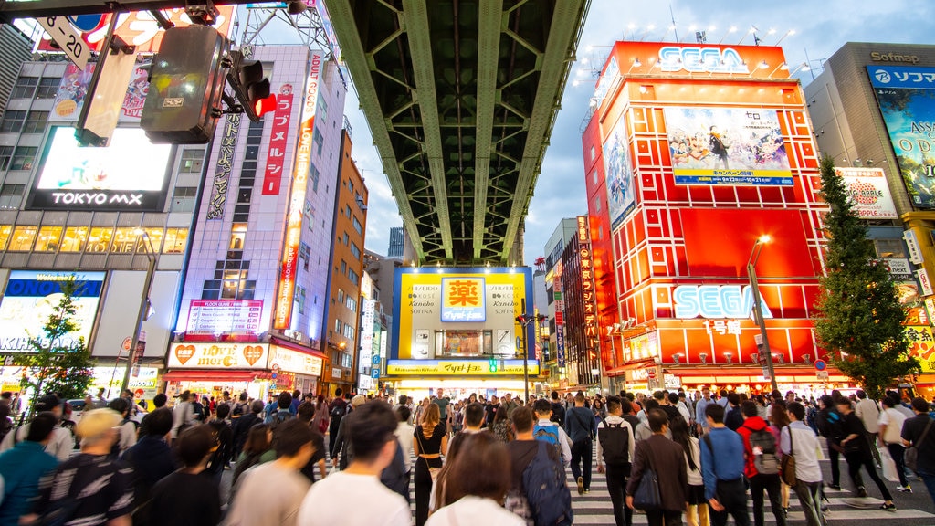 Akihabara Kofun 1