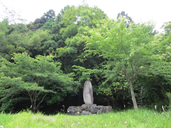 The Ruins of Mineyama Castle