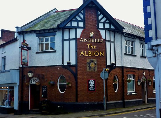 The Albion Ale House