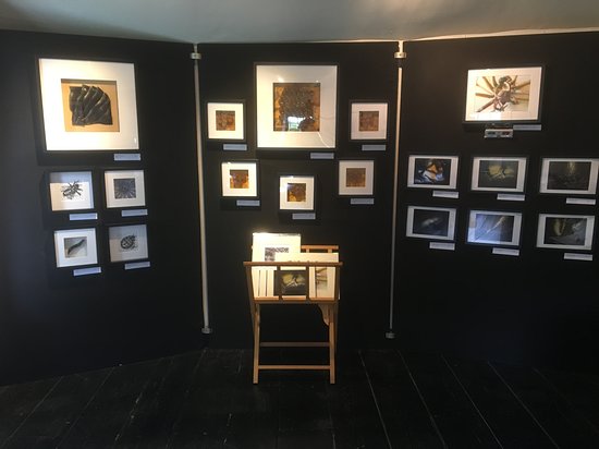 Mill Bridge Gallery