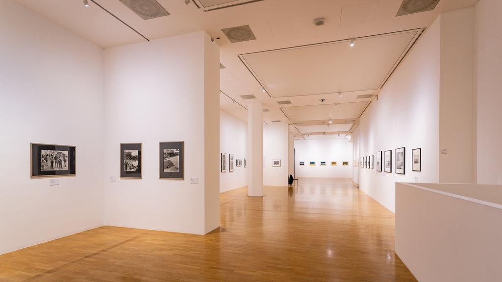 Galleria Vannucci Arte Moderna e Contemporanea