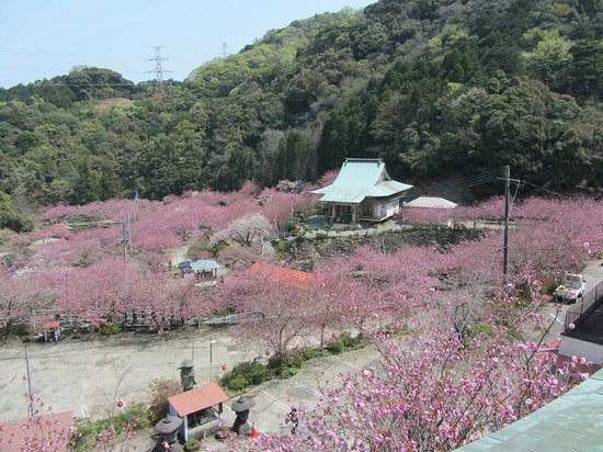Isshinji Temple