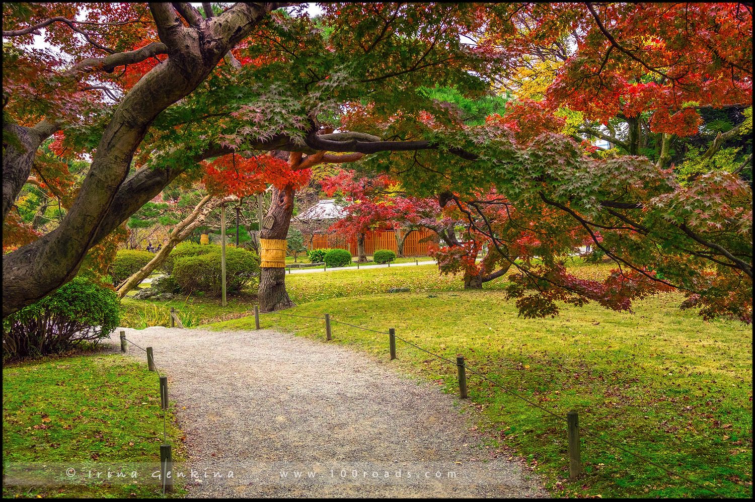 The Sound Garden