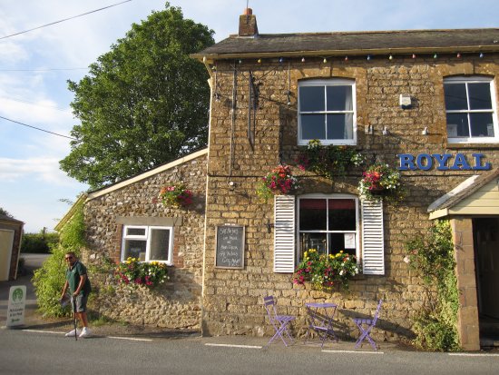 The royal oak drimpton