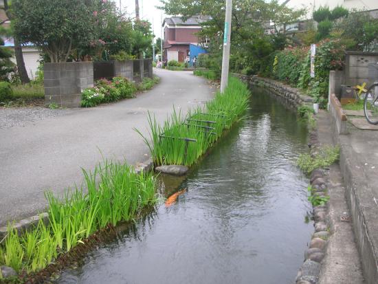 Shimbori Canal