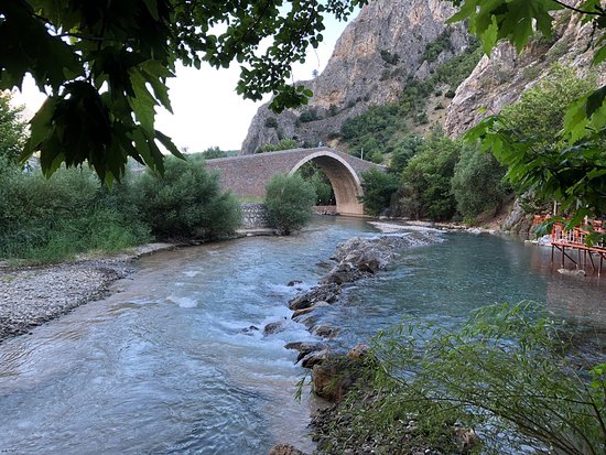 Seker Pinari