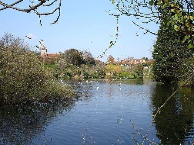 Stonebridge Pond