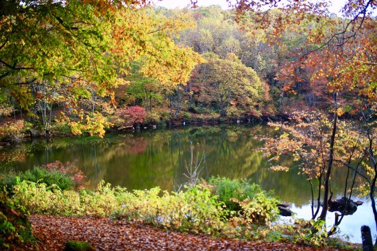 Outdoor Pictures 1