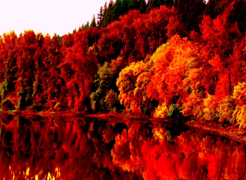Mitani Fall