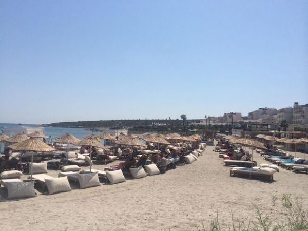 Mocca Beach