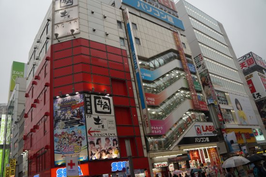 E-earphones Akihabara
