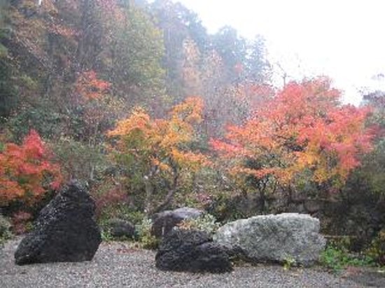 Haze Botanical Garden