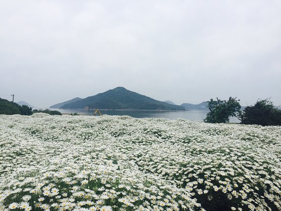 Flower Park Urashima