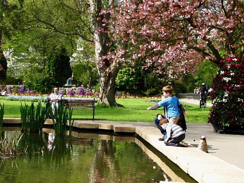 Town Gardens