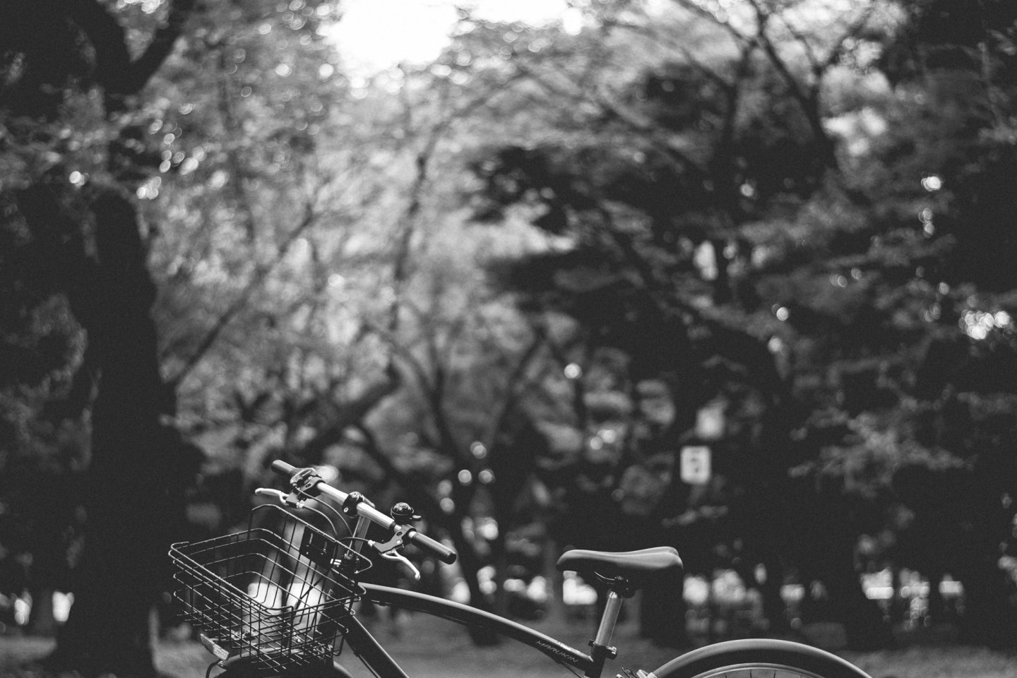 Rental Bike TOKYO