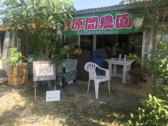 Ibaruma Farm Fruits Chokubaijo