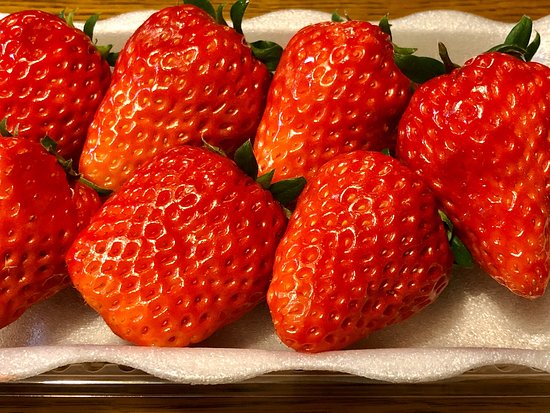 Haruoka Strawberry Farm