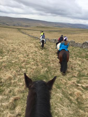 Kilnsey Trekking & Riding Centre