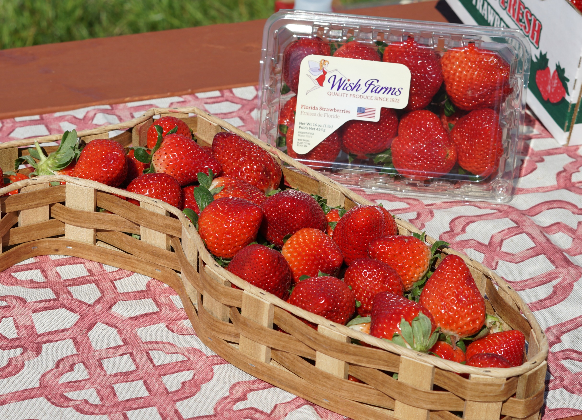 Shirado Strawberry Farm