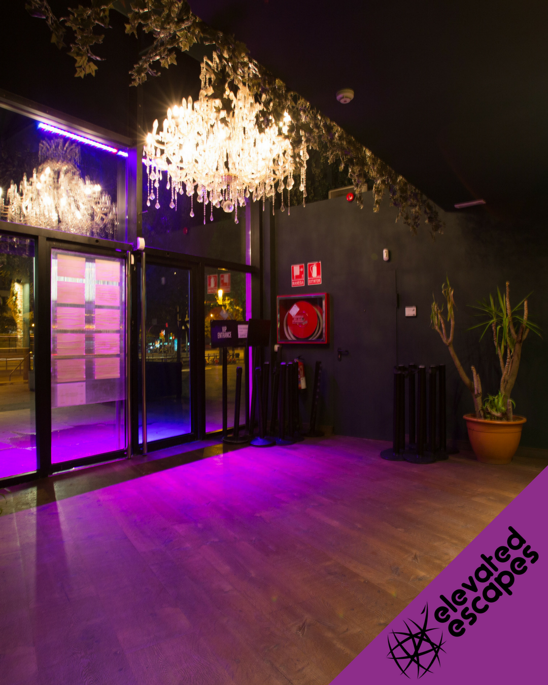 disco bar joe's