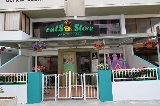 Cats Story