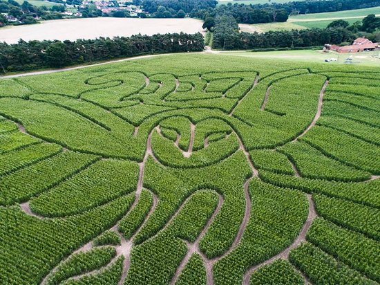 Hundred River Maize Maze