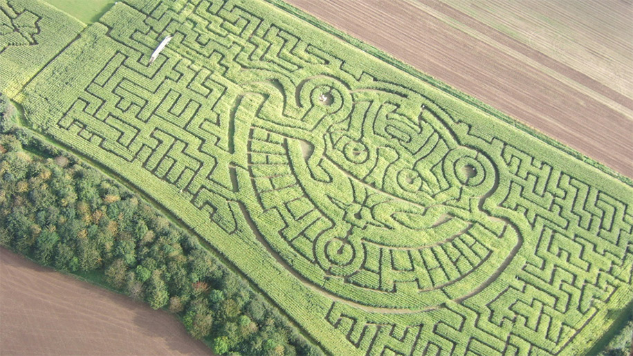 Braydon Maize Maze