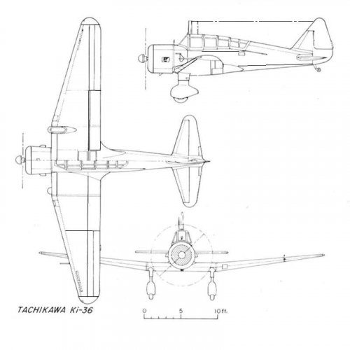 Adores Tachikawa