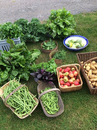 The Kitchen Garden Ty Mawr
