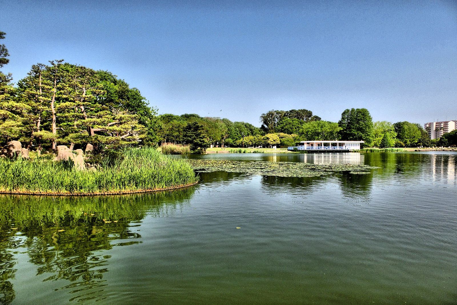 Nagai Botanical Garden