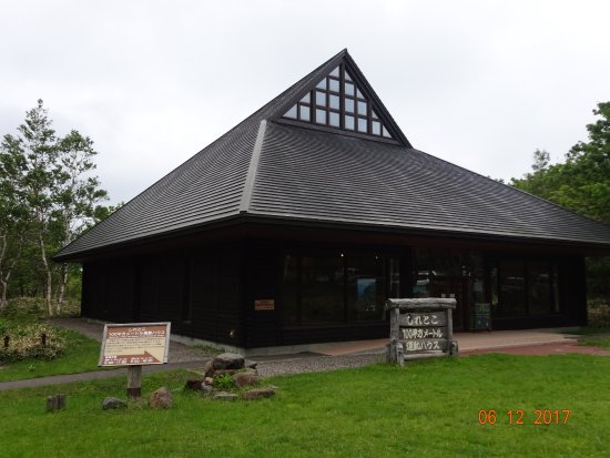 Shiretoko 100 Square-Meter Trust Forest